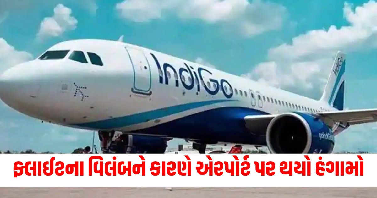 indigo mumbai doha flight cancelled ruckus at airport company apologizeer