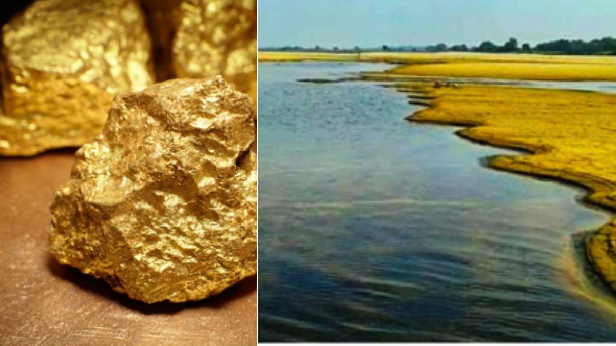 interesting facts 7 rivers of the world spew gold out of which these two are in india1