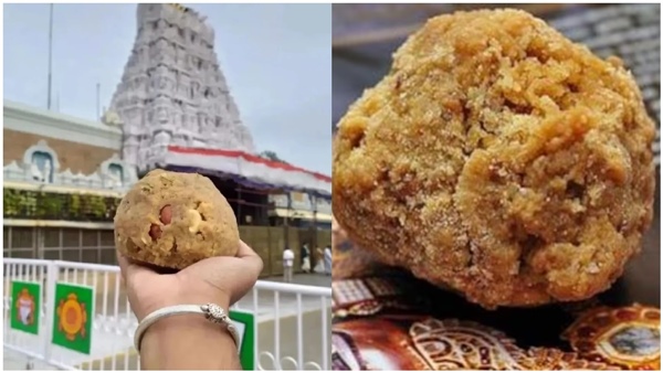 now tobacco found in tirupati temples laddoo another case amid allegations of fat 34