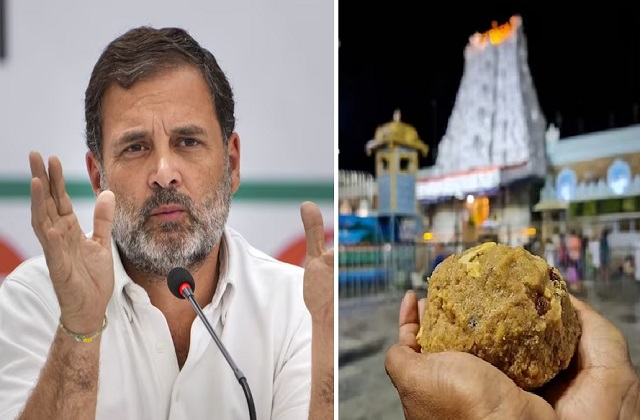 tirupati balaji laddu issue rahul gandhi said administration protect sanctity of religious places