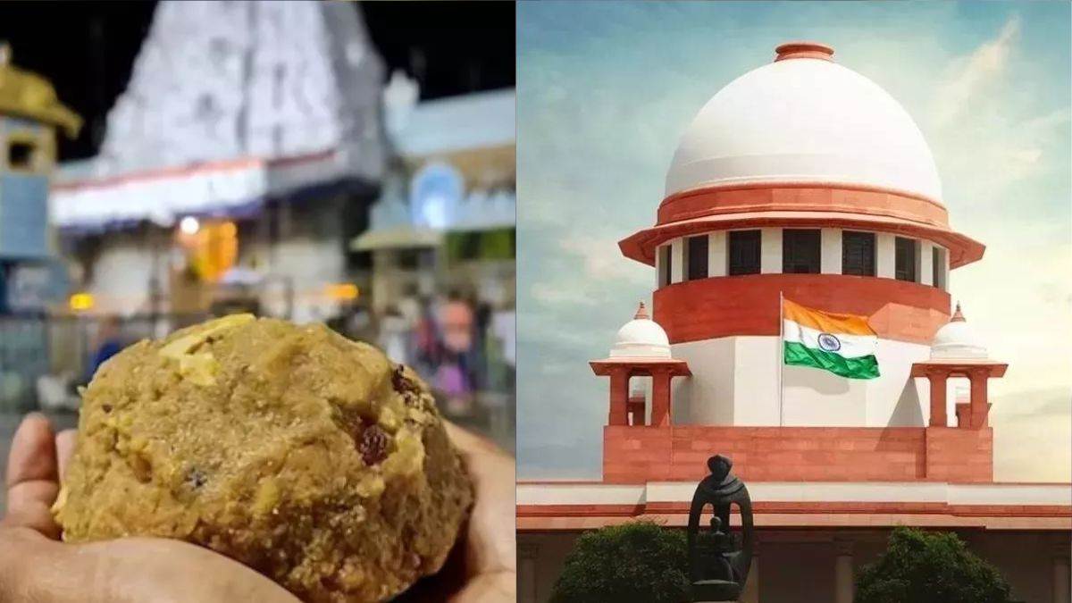 tirupati laddu case hearing in supreme court today on adulteration of animal fat in tirupati laddu petitioner demands cbi investigation