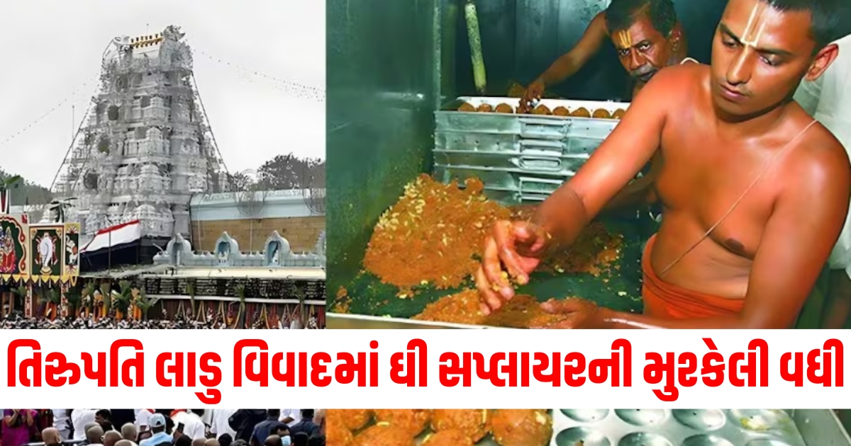 tirupati mandir laddu issue ttd big step against ghee supplier company ar dairy foods private limited