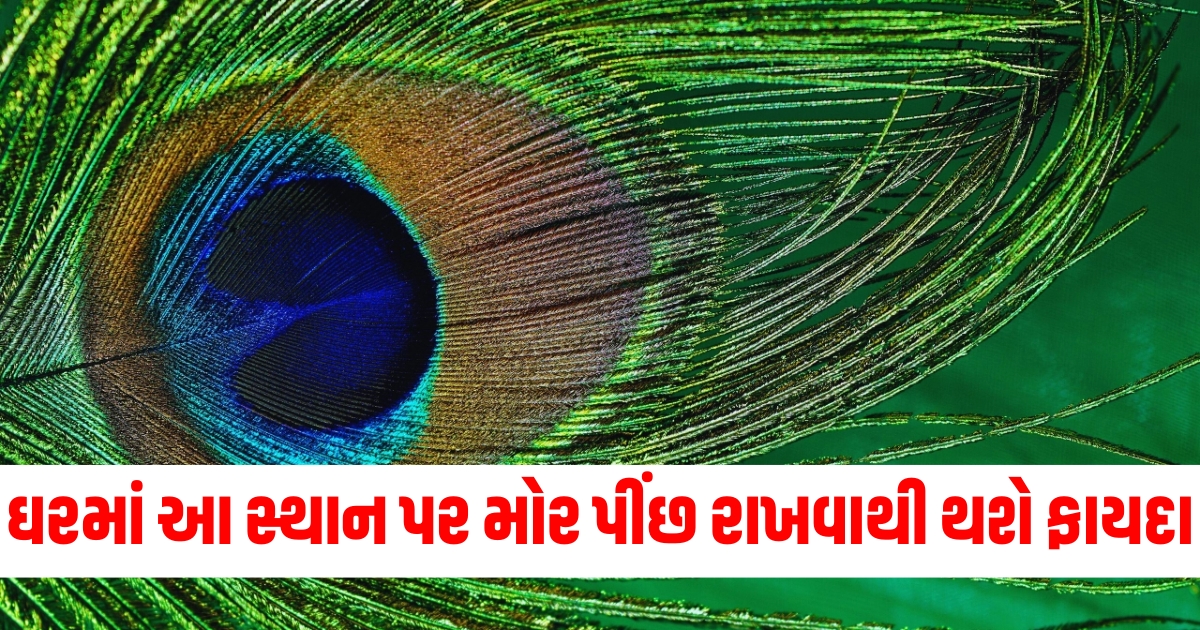 મોરપીંછ વાસ્તુ ફાયદા, મોરપીંછ ઘરમાં સકારાત્મકતા, કાન્હાનું મોર પીંછ અને લાભ, પરિવારમાં ખુશીઓ માટે મોરપીંછ, મોરપીંછ થી ઘરમાં શાંતિ,