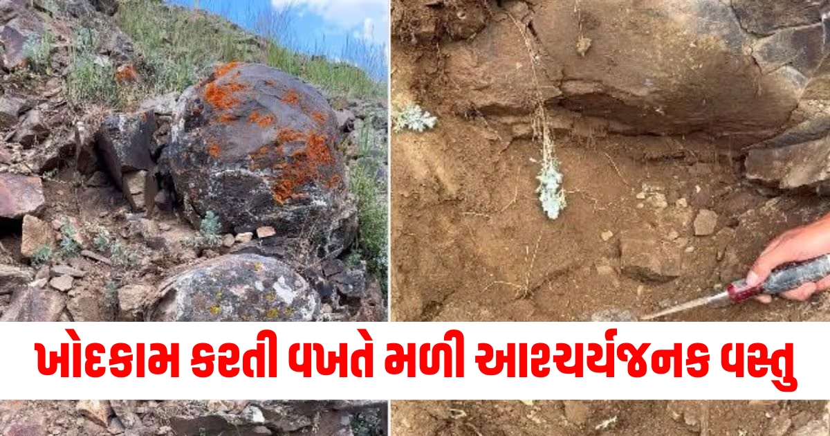 viral man find hidden object under rock discover million dollar locket shocking viral video