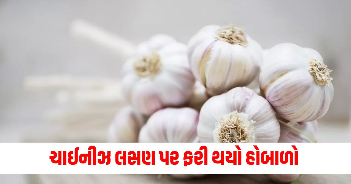 why is there a ruckus over chinese garlic why did the matter reach allahabad high court know all about it 34