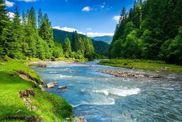 woman discovers antique diamond ring in river treasure hunting