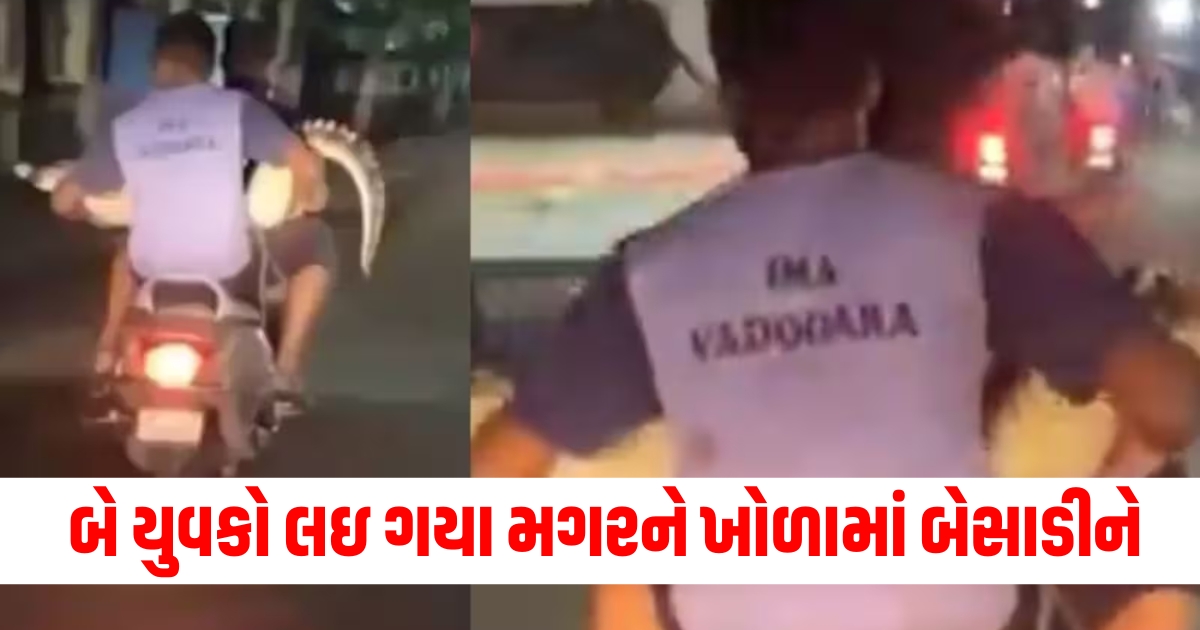 Vadodara Crocodile, Dangerous Encounter, Young Men, Crocodile Handling, Public Reaction,