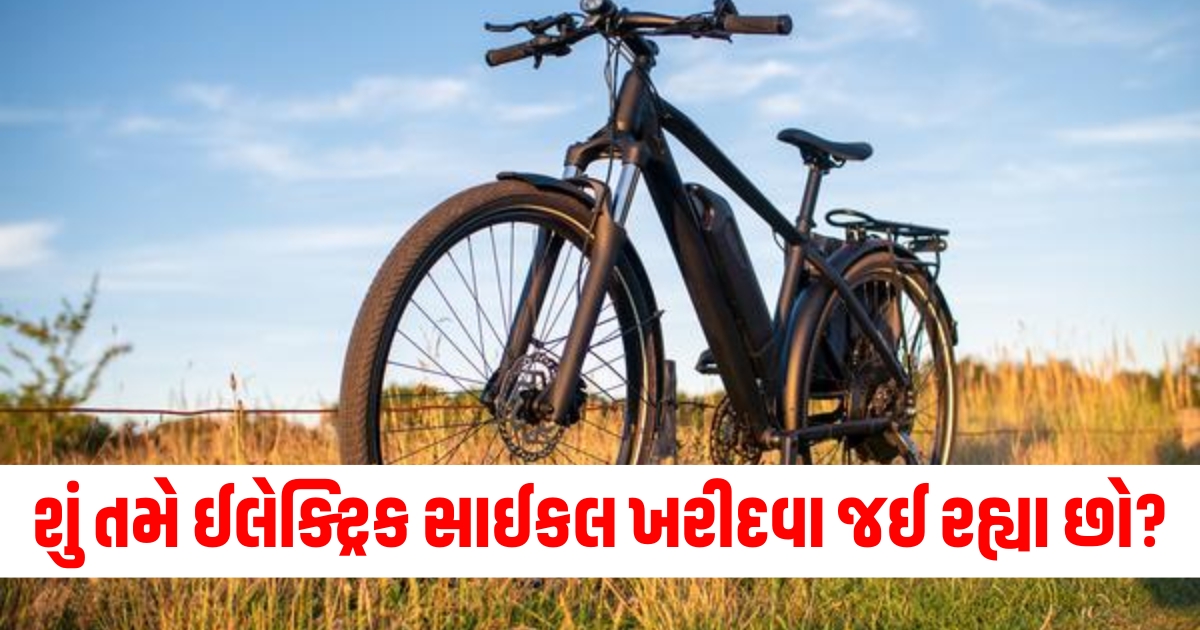 Electric bicycle purchase tips, Buying electric bike guide, Electric bike features to consider, Electric bike buying checklist, Choosing an electric bicycle,