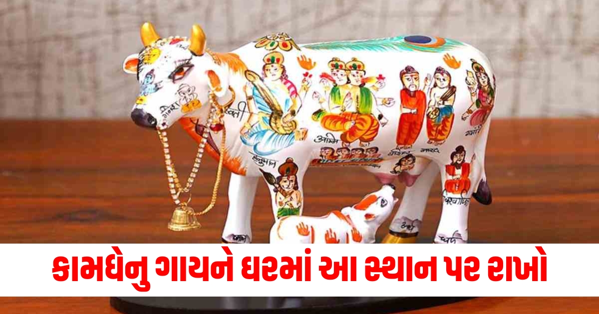 Keep Kamdhenu cow at this place in the house your luck will