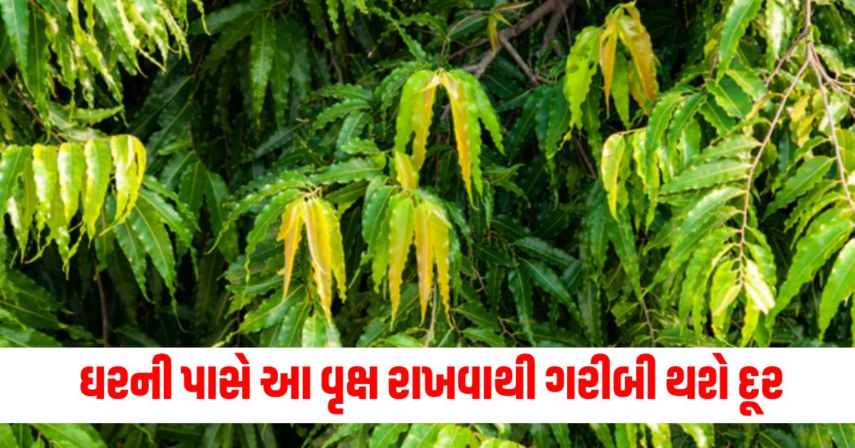 વૃક્ષ, ગરીબી, વહેલા લગ્ન, માતૃત્વ, સંકટ, સમૃદ્ધિ, પ્રકૃતિ, ઉદ્યોગ,