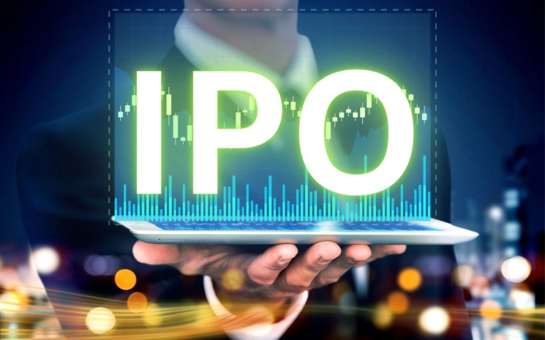 biz ipo investment know what is the scope for profit and loss 2342