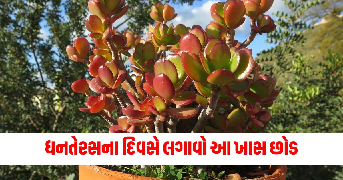 પૈસા દેવા વાળા છોડ (Wealth-attracting Plants), વૃદ્ધિ (Growth), આરોગ્ય લાભ (Health Benefits), પ્રાકૃતિક ઉપચાર (Natural Remedies), શાંતિ અને સુખ (Peace and Happiness),