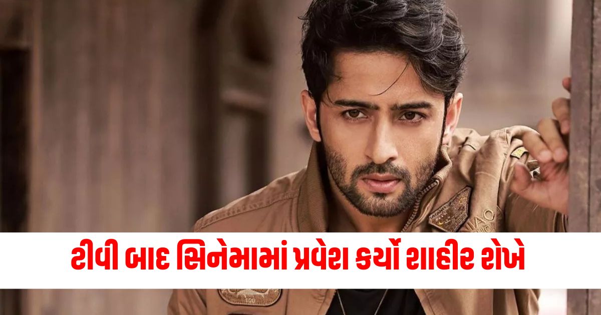 TV, Cinema, Shaheer Sheikh, Entry, Debut, Reason, Acting career, Transition, Film industry, Statement,