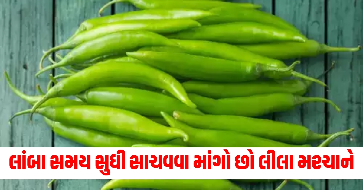 easy and genius ways to store green chillies for longer