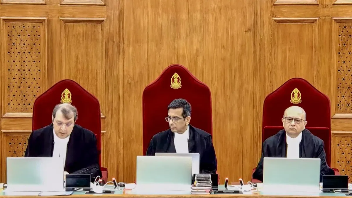 how dare you cji dy chandrachud lashes out on lawyer during hearing in supreme court14