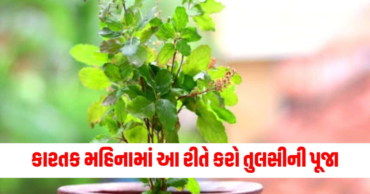 kartik mas tulsi ke upay kartik mahine men dhan pane ke liye karen ye upaay remedies for money wealth