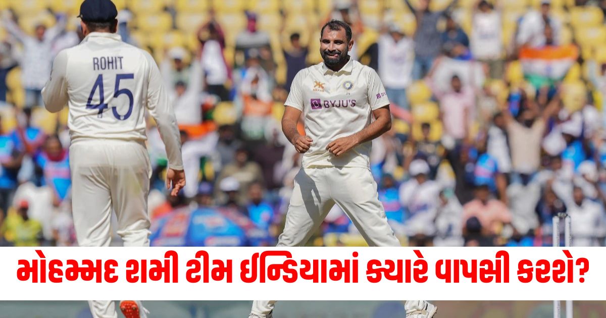 mohammed shami still have to wait more for coming in indian cricket team not include in ind vs nz test series