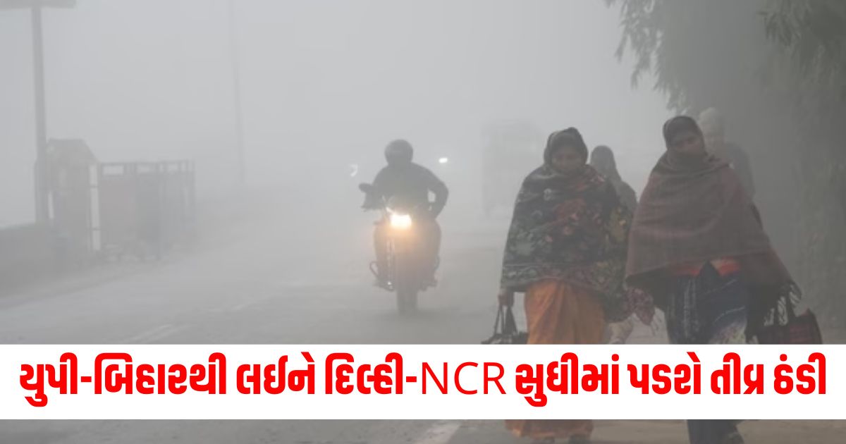 ncr imd forecast dip in temperatures soon cold begins in north india rainfall expected in south india may experience extreme winter this year 243