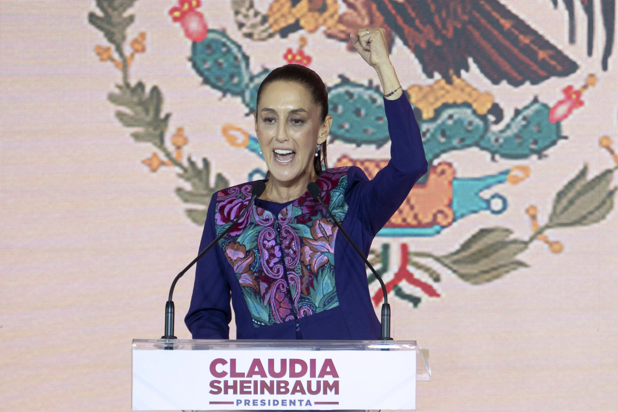 other claudia sheinbaum pardo became the first female president1