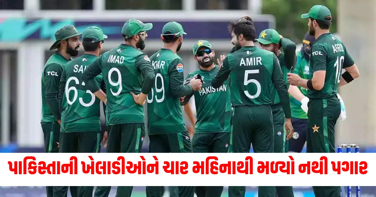 pakistan cricket team players not getting monthly salary from four months and in danger