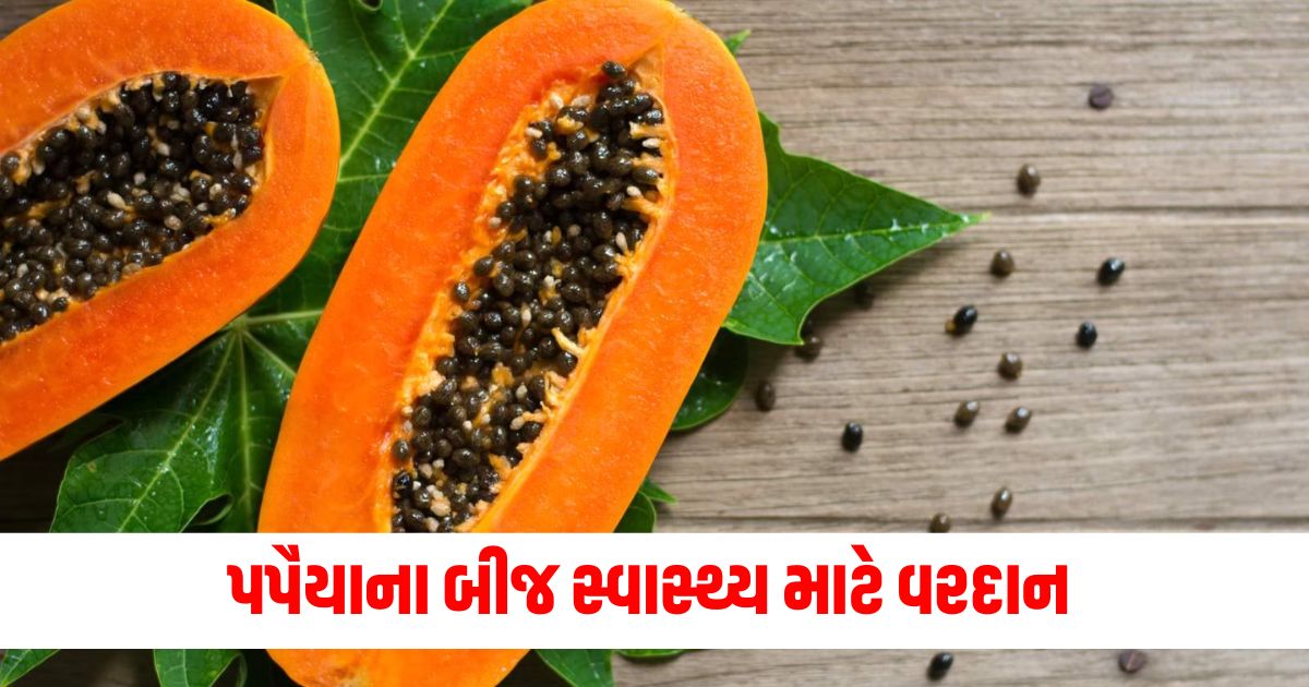 પપૈયાના બીજ, સ્વાસ્થ્ય લાભ, પોષણાત્મક ગુણ, એન્ટી ઓક્સિડન્ટ્સ,