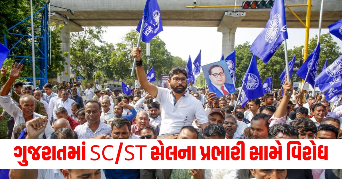 protest against sc st cell in charge gujarat congress mla jignesh mevani demands resignation dalit community ntc rptc