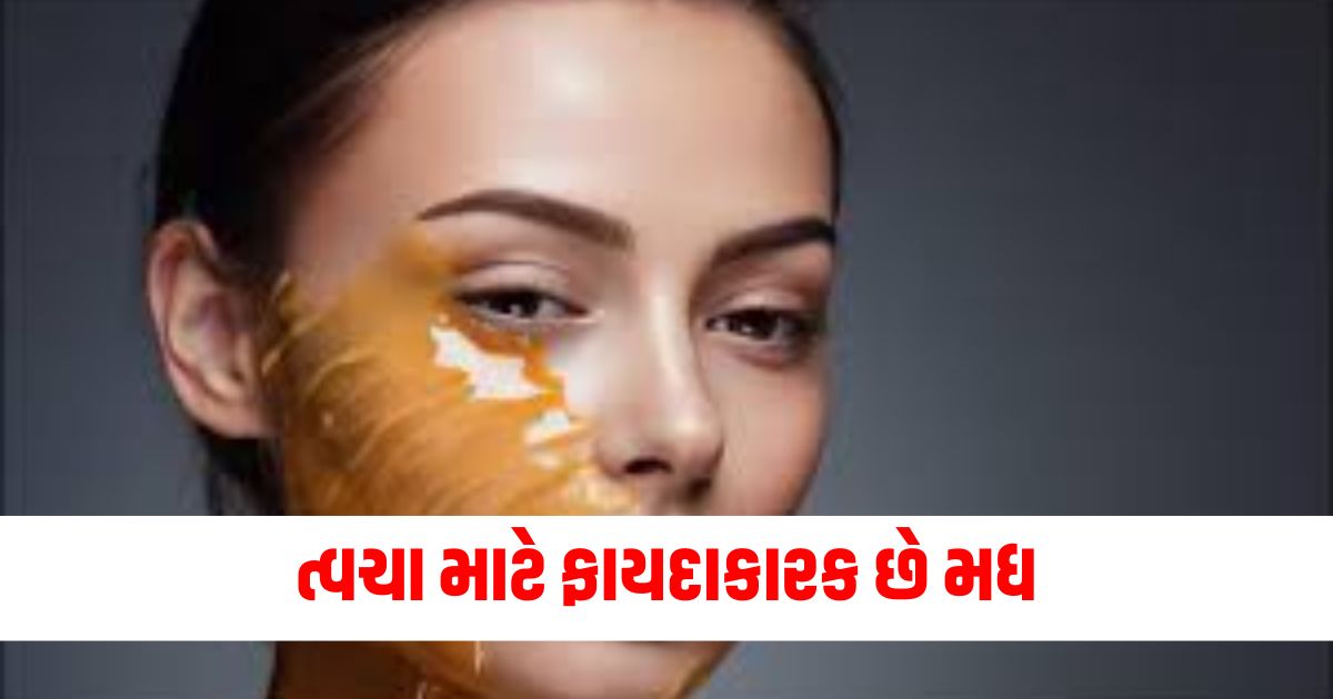 મોઈશ્ચરાઈઝર (Moisturizer), એન્ટિએજિંગ (Anti-Aging), એન્ટીબેક્ટેરિયલ (Antibacterial), વિટામિન રિચ (Vitamin-Rich), અસાધારણ પોષણ (Exceptional Nourishment), ત્વચાની કમી (Skin Brightening), સૂકાઈને અટકાવવા (Preventing Dryness), સ્વાભાવિક યૂઝ (Natural Use), અલર્જીથી મુક્ત (Hypoallergenic), સંવેદનશીલ ત્વચા (Sensitive Skin),