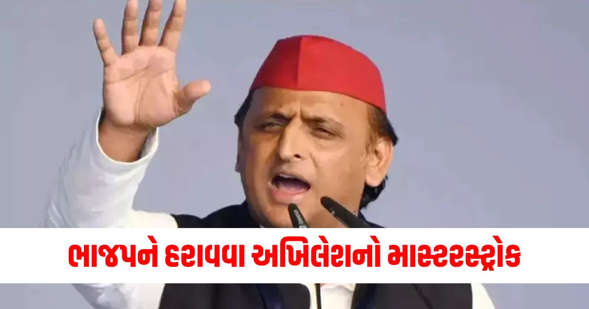 up by election 2024 akhilesh yadav slams bjp karhal candidate anujesh yadav