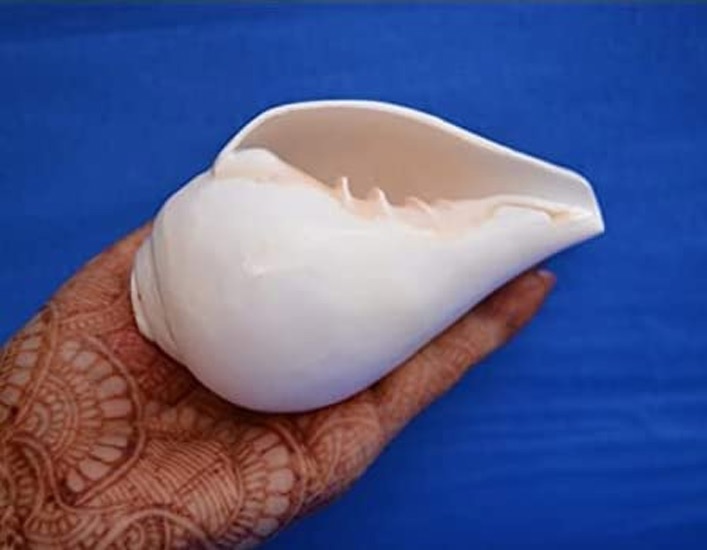 vastu directions for placing conch shell2