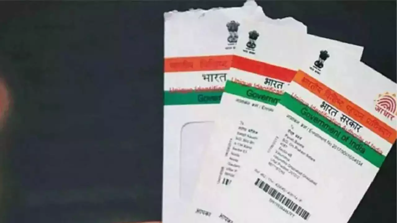 what information can be updated in aadhaar card and how many times 23423