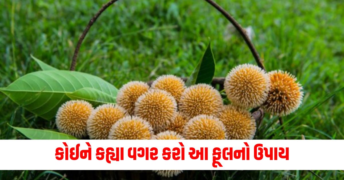 કોઈને કહ્યા વગર કરો આ ફૂલનો ઉપાય324