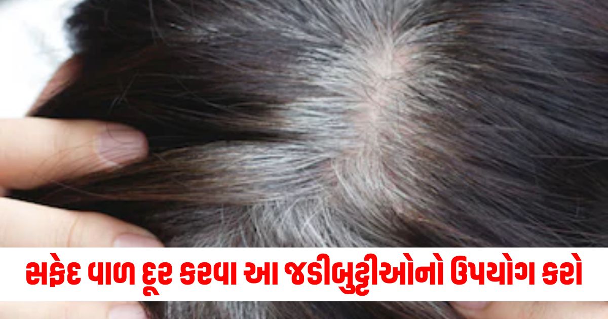 White hair, Herbs, Remedies, Treatment, Results,