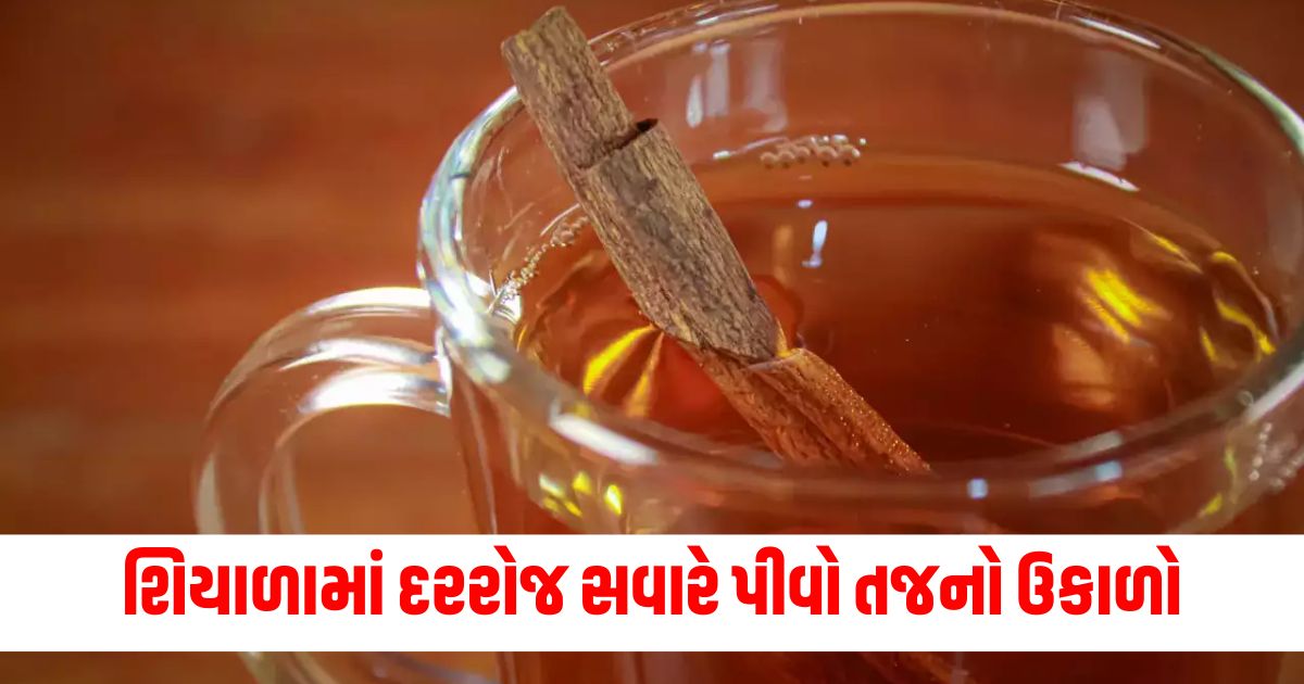 5 health reasons to drink cinnamon kadha daily this winter know detailsw34