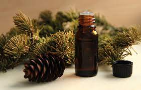 cedarwood oil strengthens hair roots restores skin glow with daily use learn how