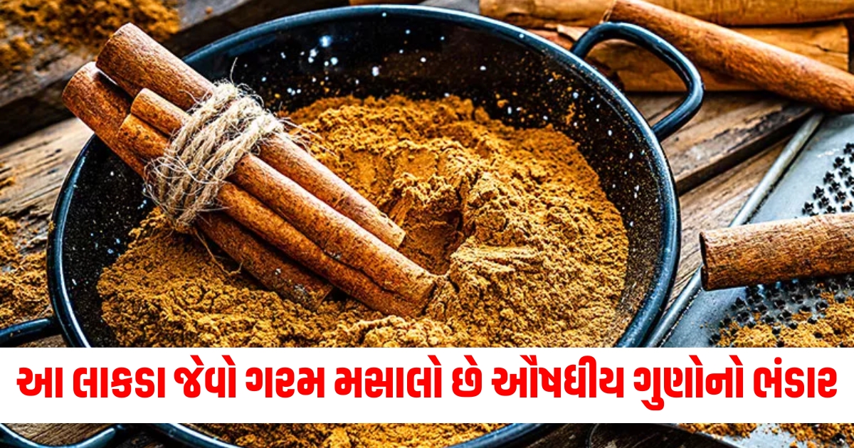 Hot Spice – ગરમ મસાલો, Medicinal Properties – ઔષધીય ગુણો, Health Benefits – સ્વાસ્થ્ય માટેના ફાયદા, Herbal Remedy – હર્બલ ઉપચાર, Healing Spice – આરોગ્યદાયક મસાલો, Cinnamon – દારચિની (assuming it's referring to cinnamon), Natural Medicine – કુદરતી ઔષધ, Anti-inflammatory – એન્ટી-ઇન્ફ્લેમેટરી,