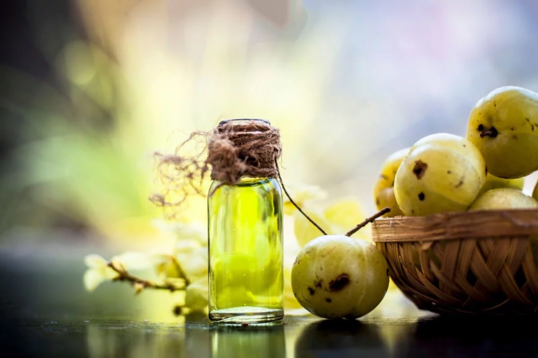 coconut oil vs amla oil find out which one is best for your hair growth2