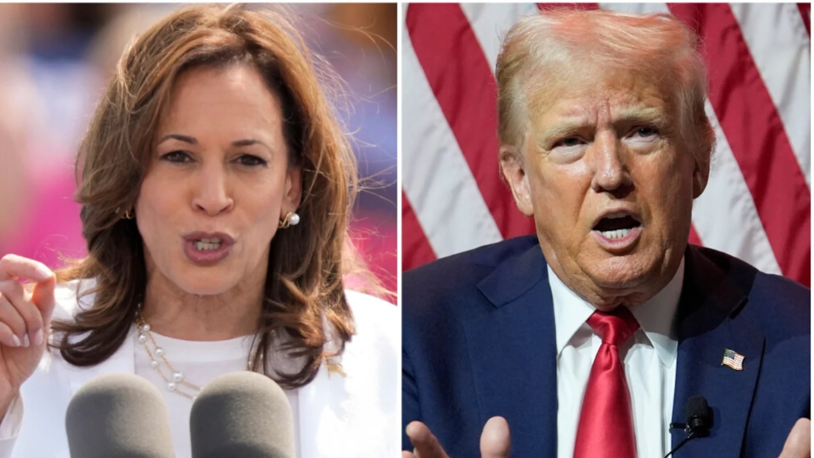 donald trump or kamala harris us presidential election results time and date2