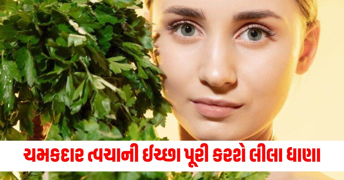 green coriander will fulfill the desire of healthy and glowing skin just use it like this