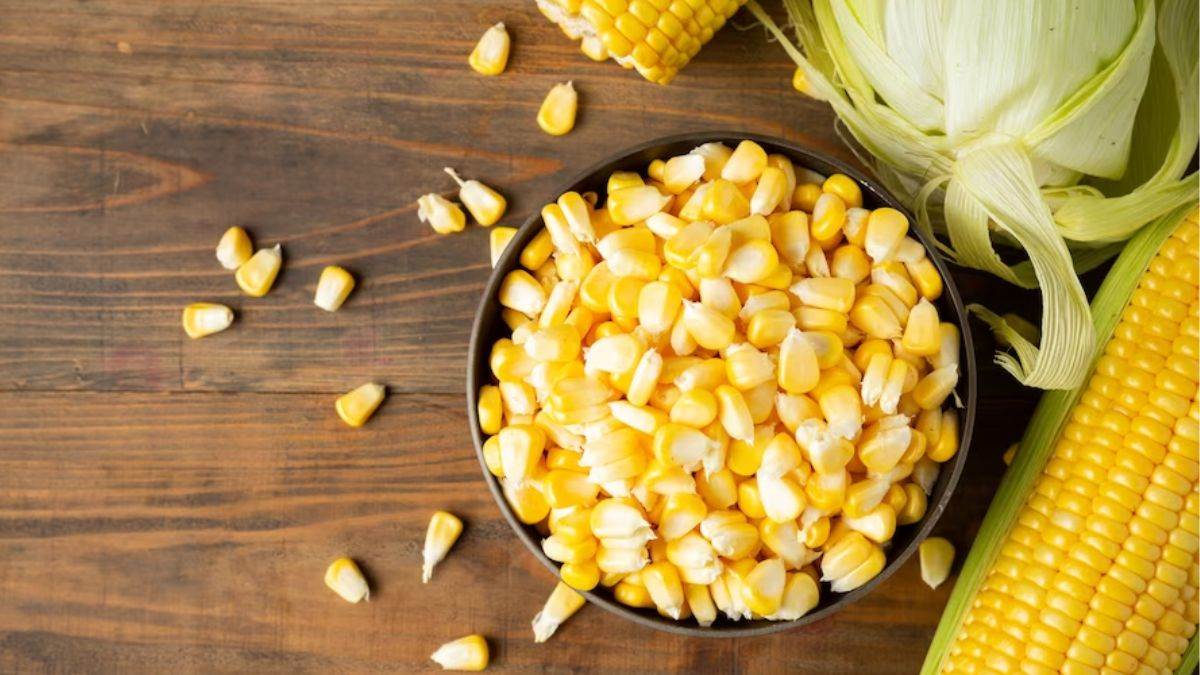 surprising health benefits of corn in winters sardiyon me makai khane ke fayde