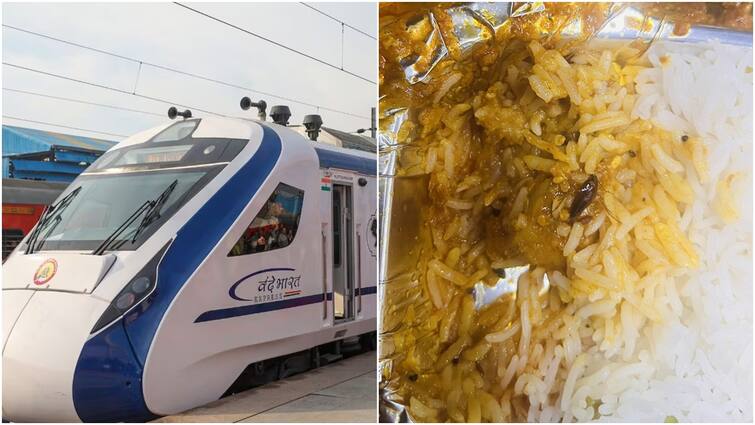 the southern railways issued a clarification after a passenger on a vande bharat express finds an insect