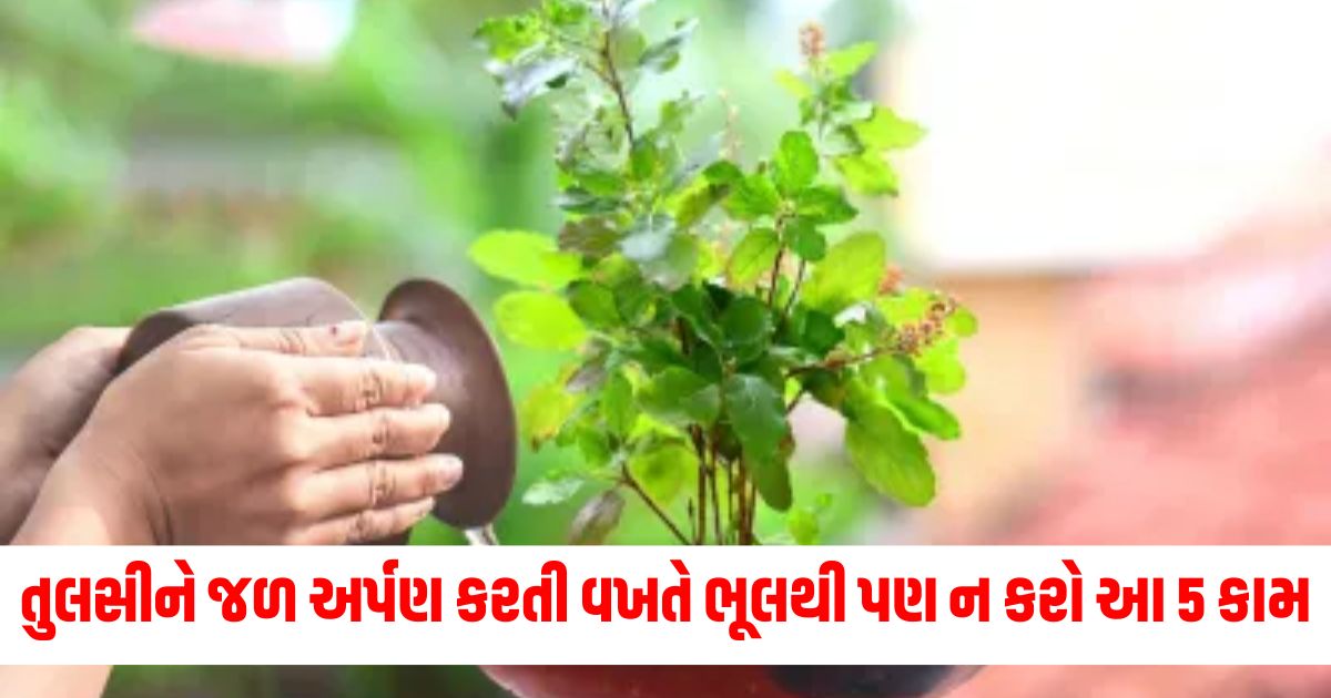 tulsi puja niyam do not do these 5 work while offering water in basil pulsi tulsi me jal chadhane ke niyam