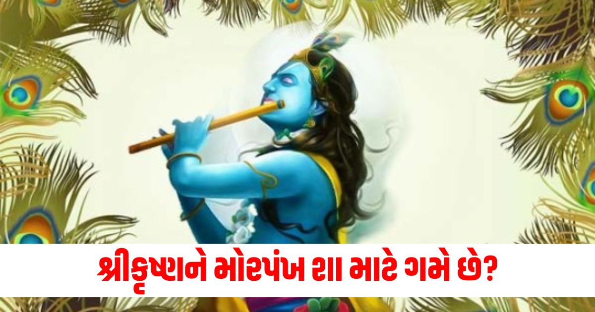 why lord krishna love morpankh know importance wer