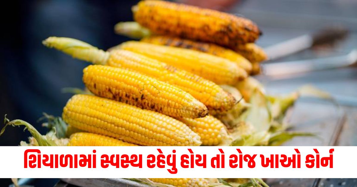 શિયાળામાં સ્વસ્થ રહેવું હોય તો રોજ ખાઓ કોર્ન342