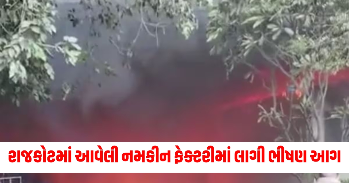 ahmedabad a huge fire broke out in a namkeen factory in rajkot fire brigade convoy present at the spot