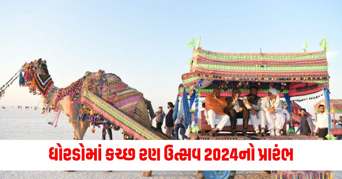 gujarat kutch rann utsav 2024 begins in dhordo travelers will get these facilitieswer