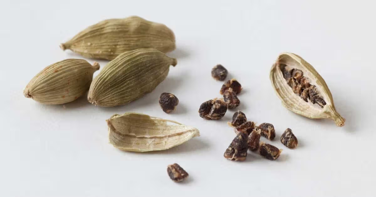 health black cardamom water is a home remedy for colds and coughs drinking it daily can help prevent many diseases1