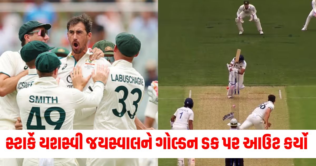 india vs australia mitchell starc out yashasvi jaiswal on golden duckwer