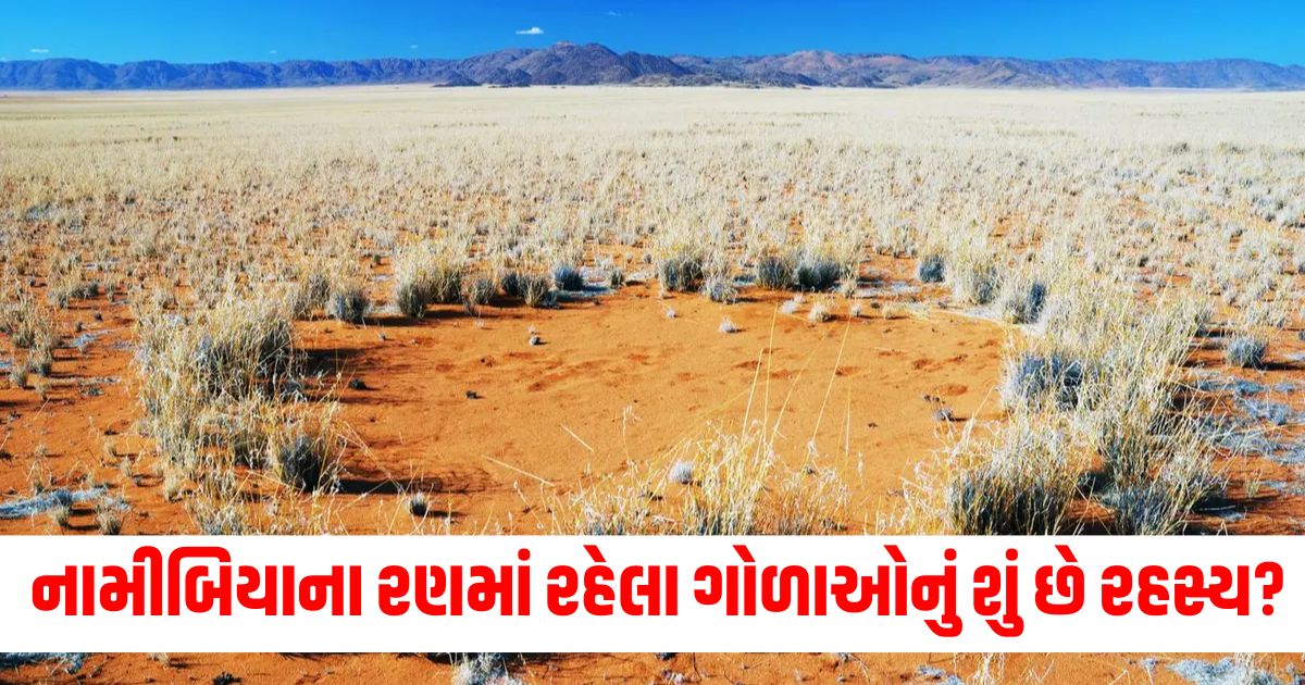 kya kehta hai vigyaan why mysterious fairy circles of namibia are still unsolved ee