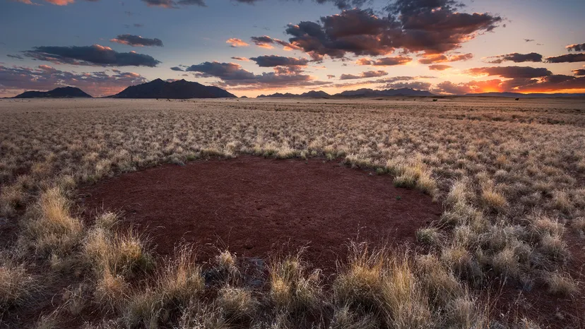 kya kehta hai vigyaan why mysterious fairy circles of namibia are still unsolved ewr