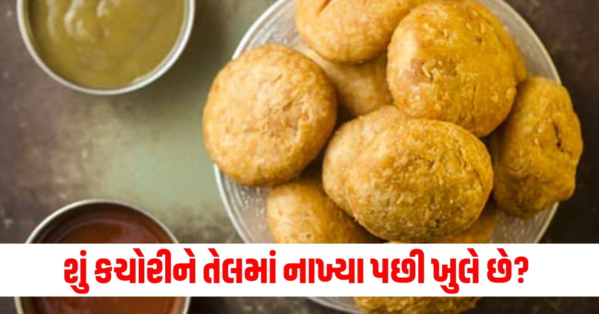 perfect kachori tips to avoid breaking in oil articledtjsrt6